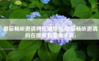 番茄畅听邀请码在哪填写(番茄畅听邀请码在哪里看苹果手机)