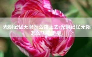 光明记忆无限怎么跳上去(光明记忆无限怎么飞檐走壁)