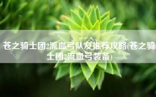 苍之骑士团2流血弓队友推荐攻略(苍之骑士团2流血弓装备)