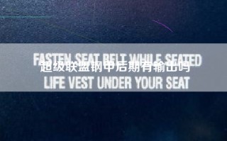 超级联盟钢甲后期有输出吗