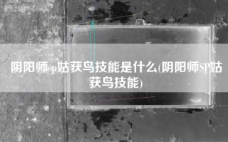 阴阳师sp姑获鸟技能是什么(阴阳师SP姑获鸟技能)