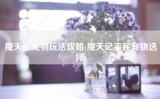 魔天记宠物玩法攻略(魔天记平民宠物选择)
