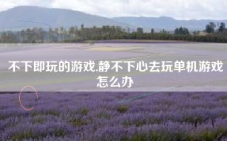不下即玩的游戏,静不下心去玩单机游戏怎么办