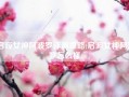 启源女神阿波罗评测攻略(启源女神阿波罗怎么样)