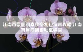 江南百景图明察秋毫礼包位置攻略(江南百景图明察秋毫锦囊)