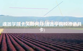魂器学院卡关如何办(魂器学院校准道具卡)