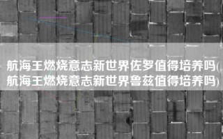 航海王燃烧意志新世界佐罗值得培养吗(航海王燃烧意志新世界鲁兹值得培养吗)