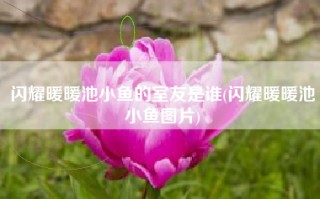 闪耀暖暖池小鱼的室友是谁(闪耀暖暖池小鱼图片)