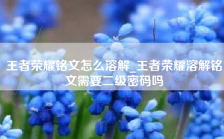王者荣耀铭文怎么溶解_王者荣耀溶解铭文需要二级密码吗