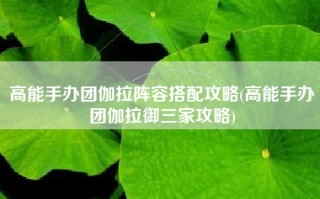 高能手办团伽拉阵容搭配攻略(高能手办团伽拉御三家攻略)