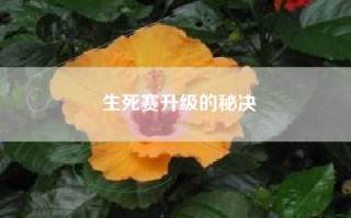 生死赛升级的秘决