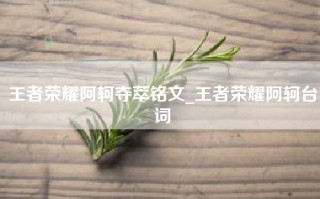 王者荣耀阿轲夺萃铭文_王者荣耀阿轲台词