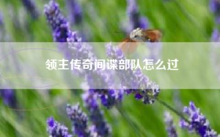 领主传奇间谍部队怎么过