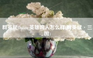 群英赋Online英雄鸣人怎么样(群英赋·三国)