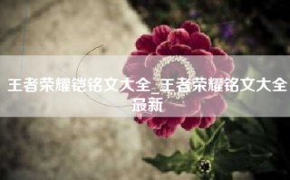 王者荣耀铠铭文大全_王者荣耀铭文大全最新