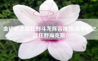 金铲铲之战狂野斗龙阵容推荐(金铲铲之战狂野海克斯)