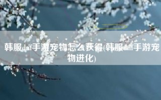 韩服dnf手游宠物怎么获得(韩服dnf手游宠物进化)