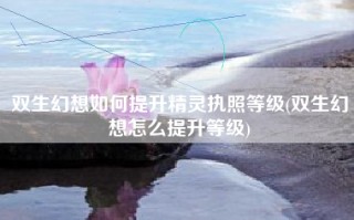 双生幻想如何提升精灵执照等级(双生幻想怎么提升等级)