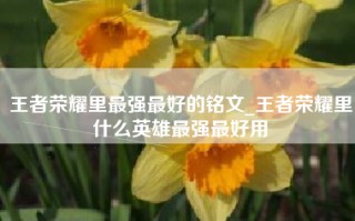 王者荣耀里最强最好的铭文_王者荣耀里什么英雄最强最好用