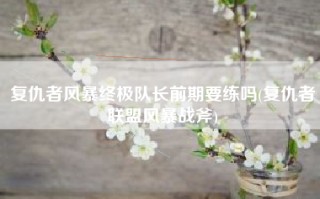 复仇者风暴终极队长前期要练吗(复仇者联盟风暴战斧)