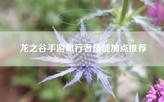 龙之谷手游风行者技能加点推荐