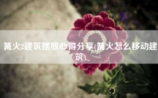 篝火2建筑摆放心得分享(篝火怎么移动建筑)