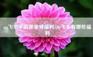 qq飞车手游哪里领福利,QQ飞车有哪些福利