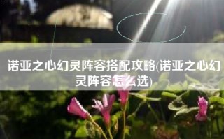 诺亚之心幻灵阵容搭配攻略(诺亚之心幻灵阵容怎么选)