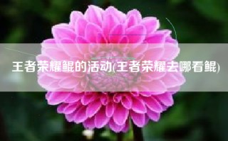 王者荣耀鲲的活动(王者荣耀去哪看鲲)