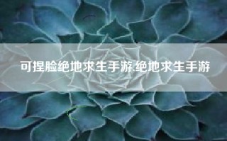可捏脸绝地求生手游,绝地求生手游