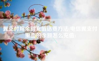 翼支付用余额充值话费方法(电信翼支付里面的余额怎么充值)