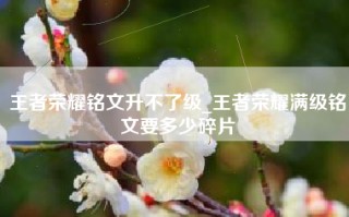 王者荣耀铭文升不了级_王者荣耀满级铭文要多少碎片