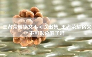 王者荣耀铭文不可以出售_王者荣耀铭文不可以分解了吗