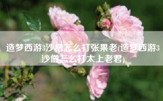 造梦西游3沙僧怎么打张果老(造梦西游3沙僧怎么打太上老君)