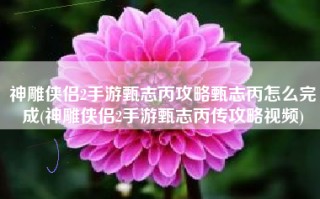 神雕侠侣2手游甄志丙攻略甄志丙怎么完成(神雕侠侣2手游甄志丙传攻略视频)