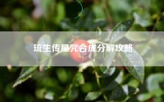 琉生传星咒合成分解攻略