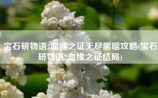 宝石研物语2血缘之证无尽黑暗攻略(宝石研物语2血缘之证结局)
