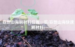 妄想山海刷材料位置一览(妄想山海快速刷材料)