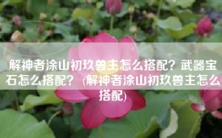 解神者涂山初玖兽主怎么搭配？武器宝石怎么搭配？ (解神者涂山初玖兽主怎么搭配)