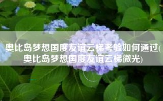 奥比岛梦想国度友谊云梯考验如何通过(奥比岛梦想国度友谊云梯微光)