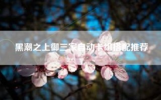 黑潮之上御三家自动卡组搭配推荐