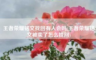 王者荣耀铭文找回有人会吗(王者荣耀铭文被卖了怎么找回)