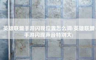 英雄联盟手游闪现位置怎么调(英雄联盟手游闪现声音特别大)