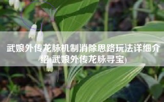 武娘外传龙脉机制消除思路玩法详细介绍(武娘外传龙脉寻宝)
