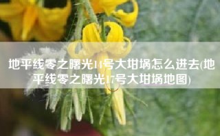 地平线零之曙光14号大坩埚怎么进去(地平线零之曙光17号大坩埚地图)