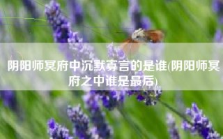 阴阳师冥府中沉默寡言的是谁(阴阳师冥府之中谁是最后)