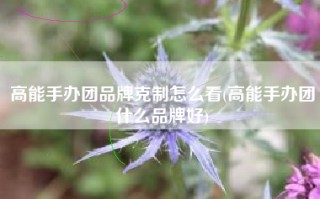高能手办团品牌克制怎么看(高能手办团什么品牌好)