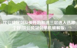 坎公骑冠剑从头开始和退三层进入选哪个好(坎公骑冠剑单机破解版)