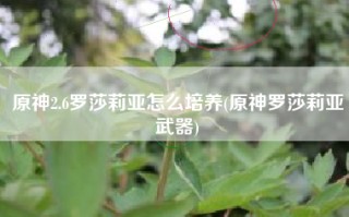原神2.6罗莎莉亚怎么培养(原神罗莎莉亚武器)