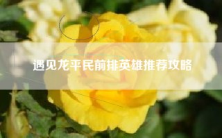 遇见龙平民前排英雄推荐攻略